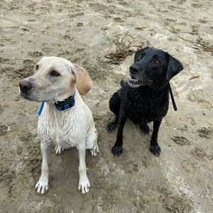 Meet your Posher, Nikki